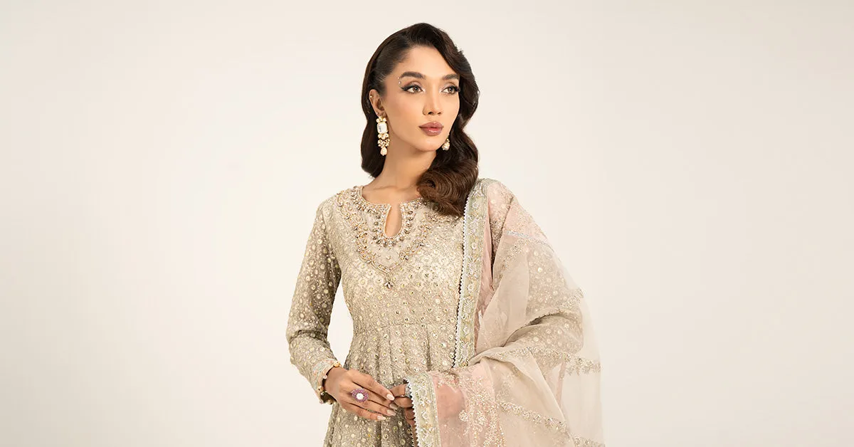 3 Piece Embroidered Organza Suit | SF-W24-07