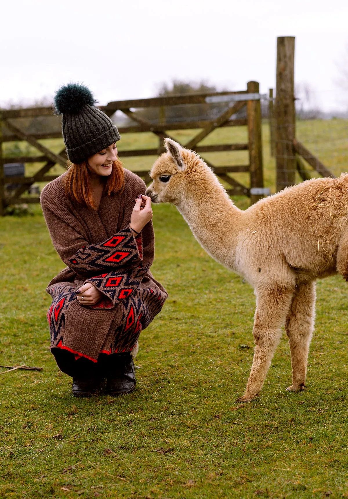 Alpaca Coatigan in Earth - In Stock Sale