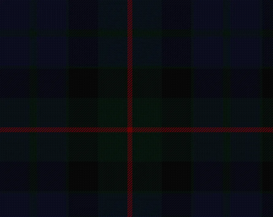 Gunn Modern Tartan Scarf