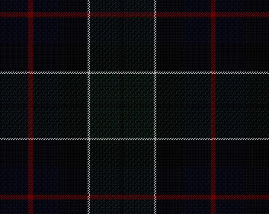 Leslie Modern Tartan Scarf